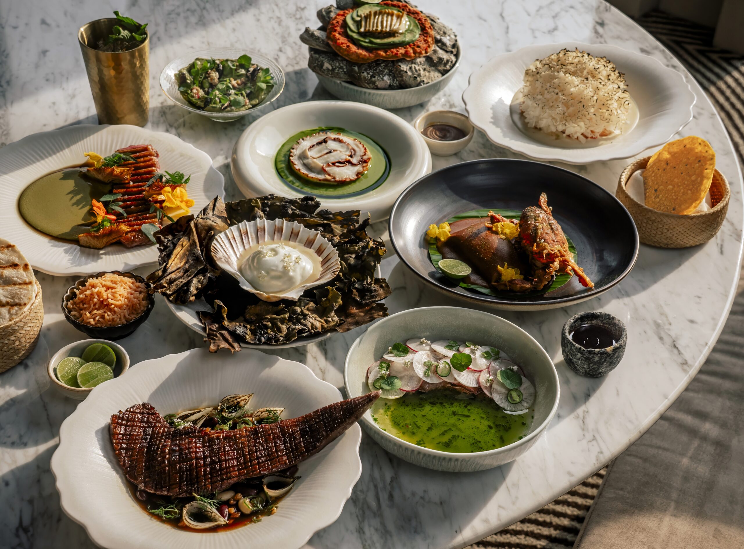 Meet the New Favorites