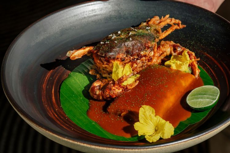 Untitled design - 10